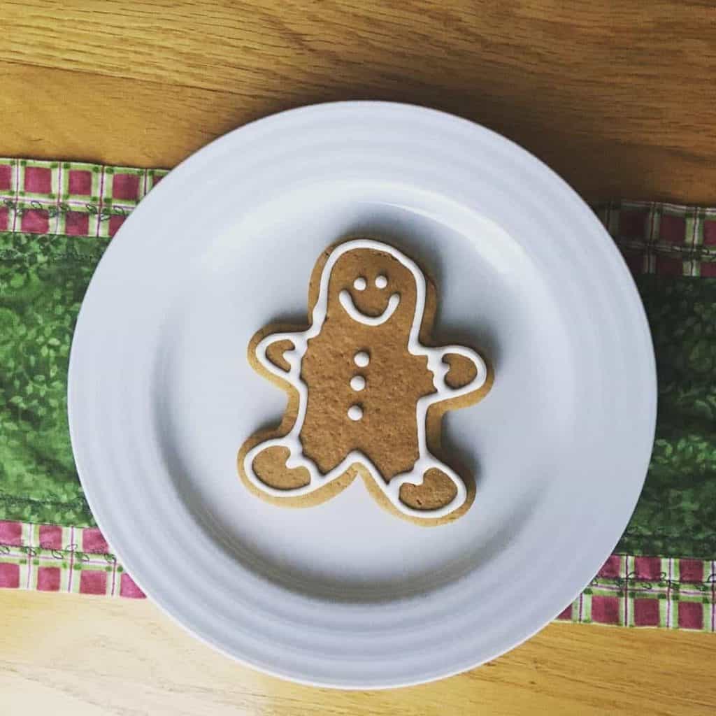 Allergy Free Gingerbread Cookies