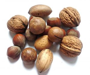 Tree Nut Family Chart
