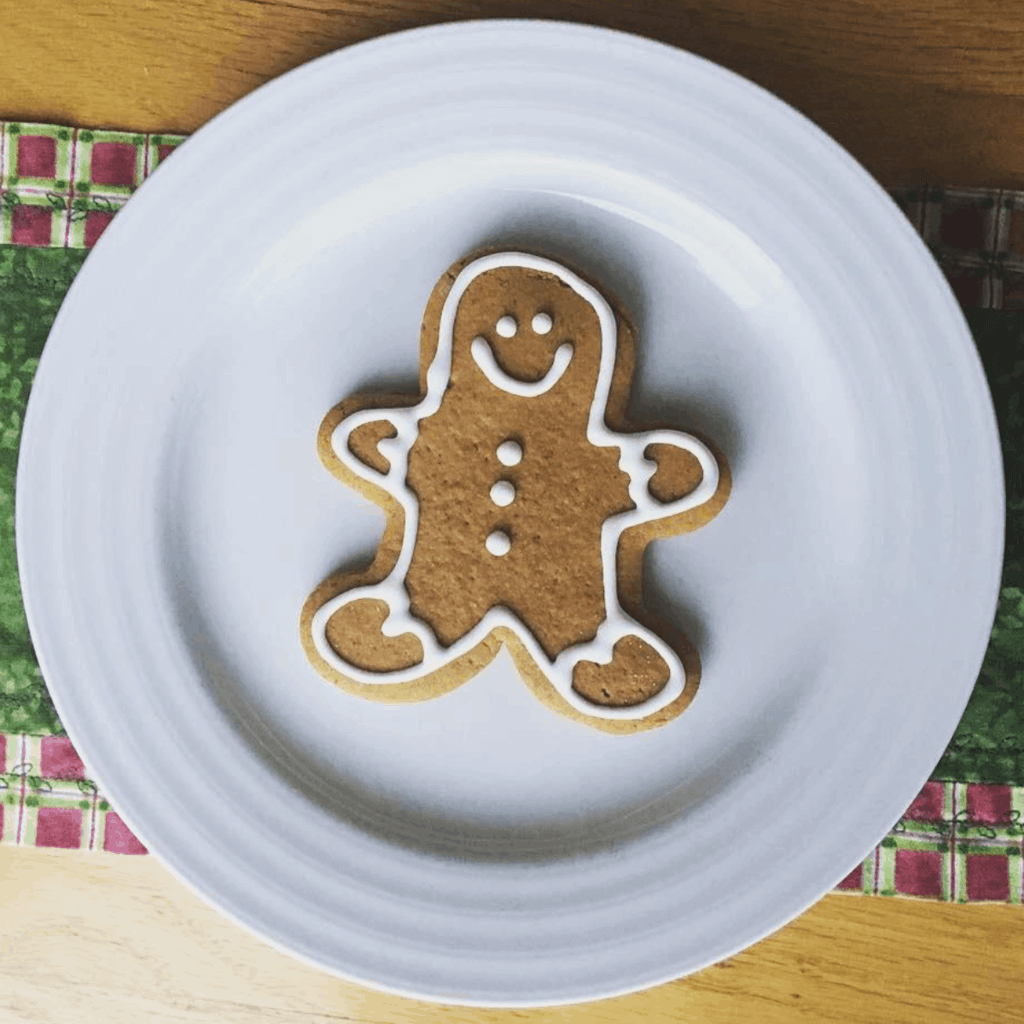 allergy free gingerbread cookies