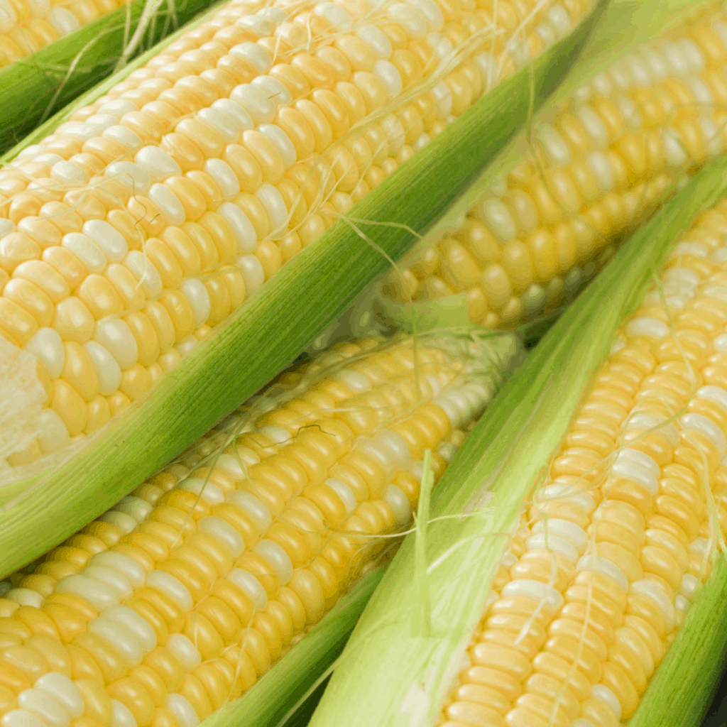 Managing a Corn Allergy