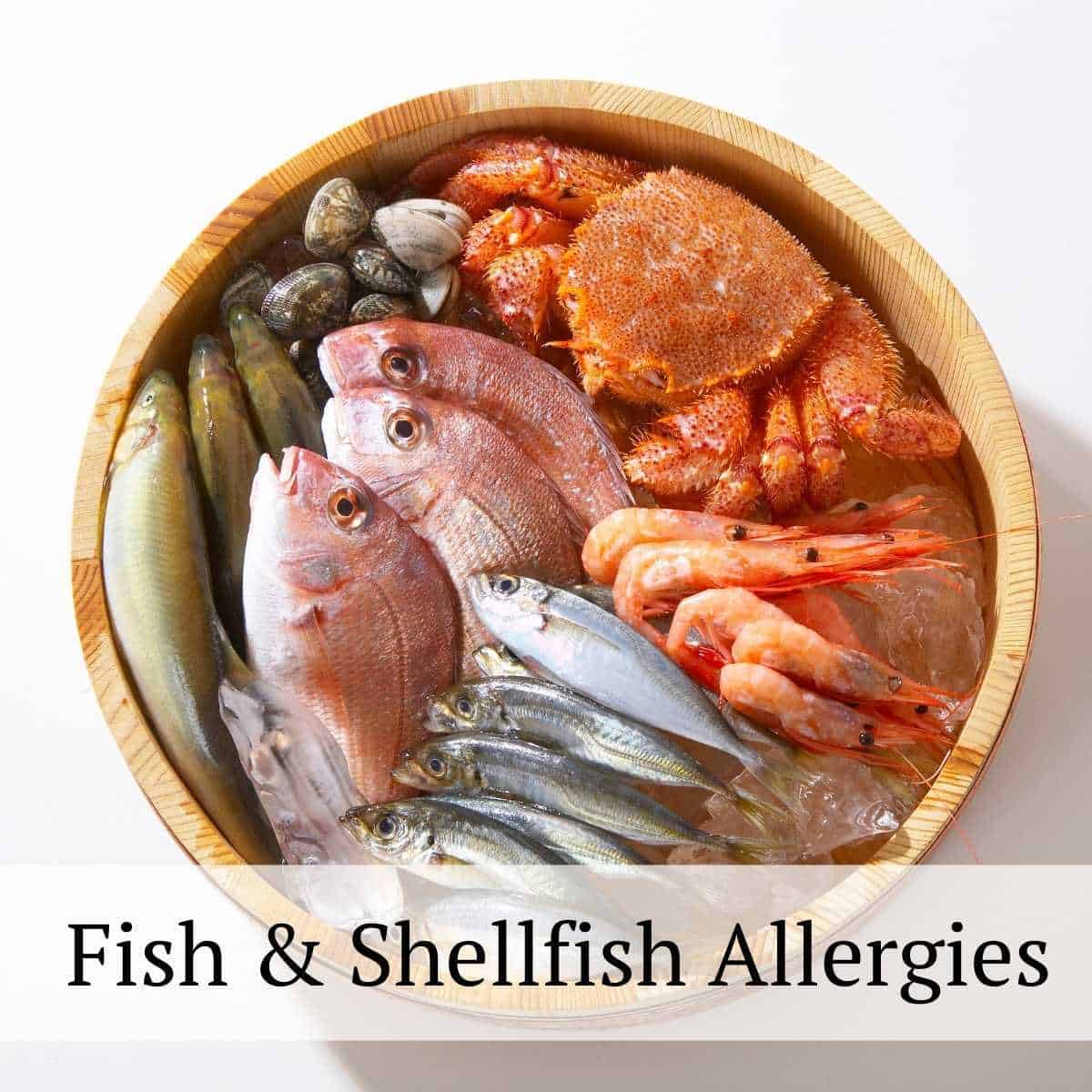 Eating With Food Allergies Allergy Friendly Recipes & Tips