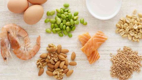 Common food allergens including dairy, egg, wheat, peanuts, tree nuts, fish, shellfish, and soy