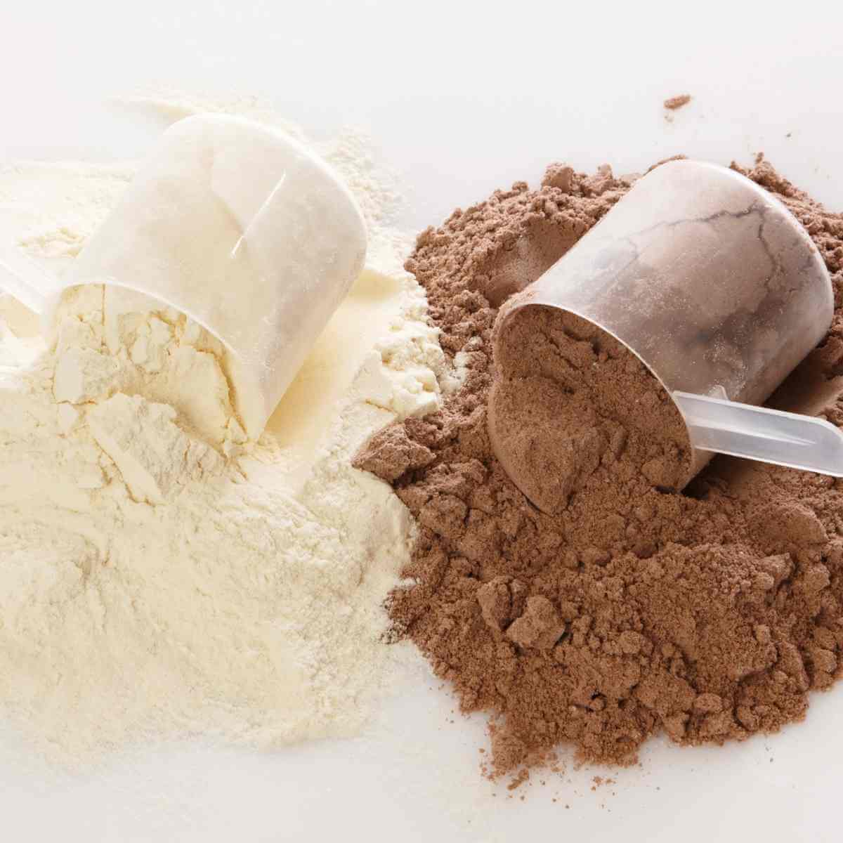 Scoops of allergy free protein powder in vanilla and chocolate flavors