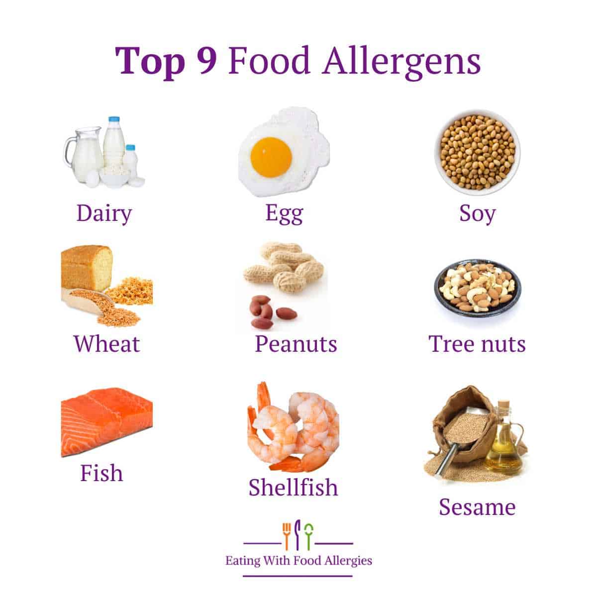 allergy free foods are free from the top 9 allergens (dairy, egg, soy, wheat, peanuts, tree nuts, fish, shellfish, sesame)