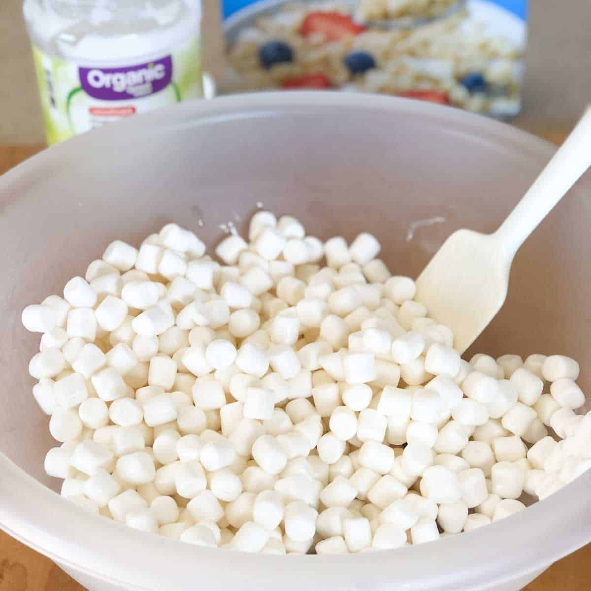 Mini marshmallows tossed in melted coconut oil.