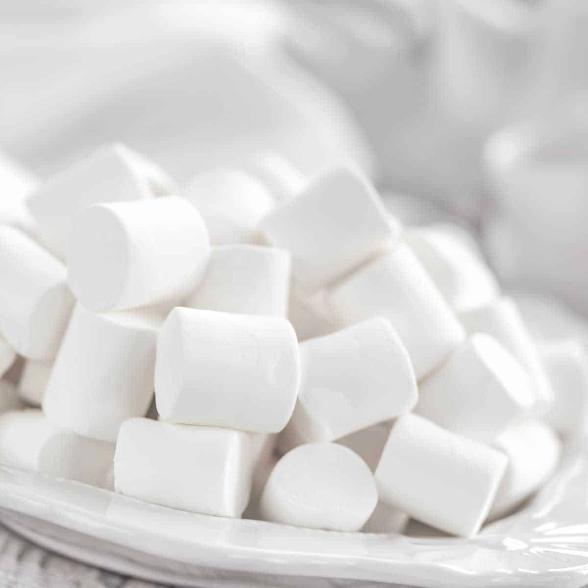 A plate with large dairy free marshmallows on it
