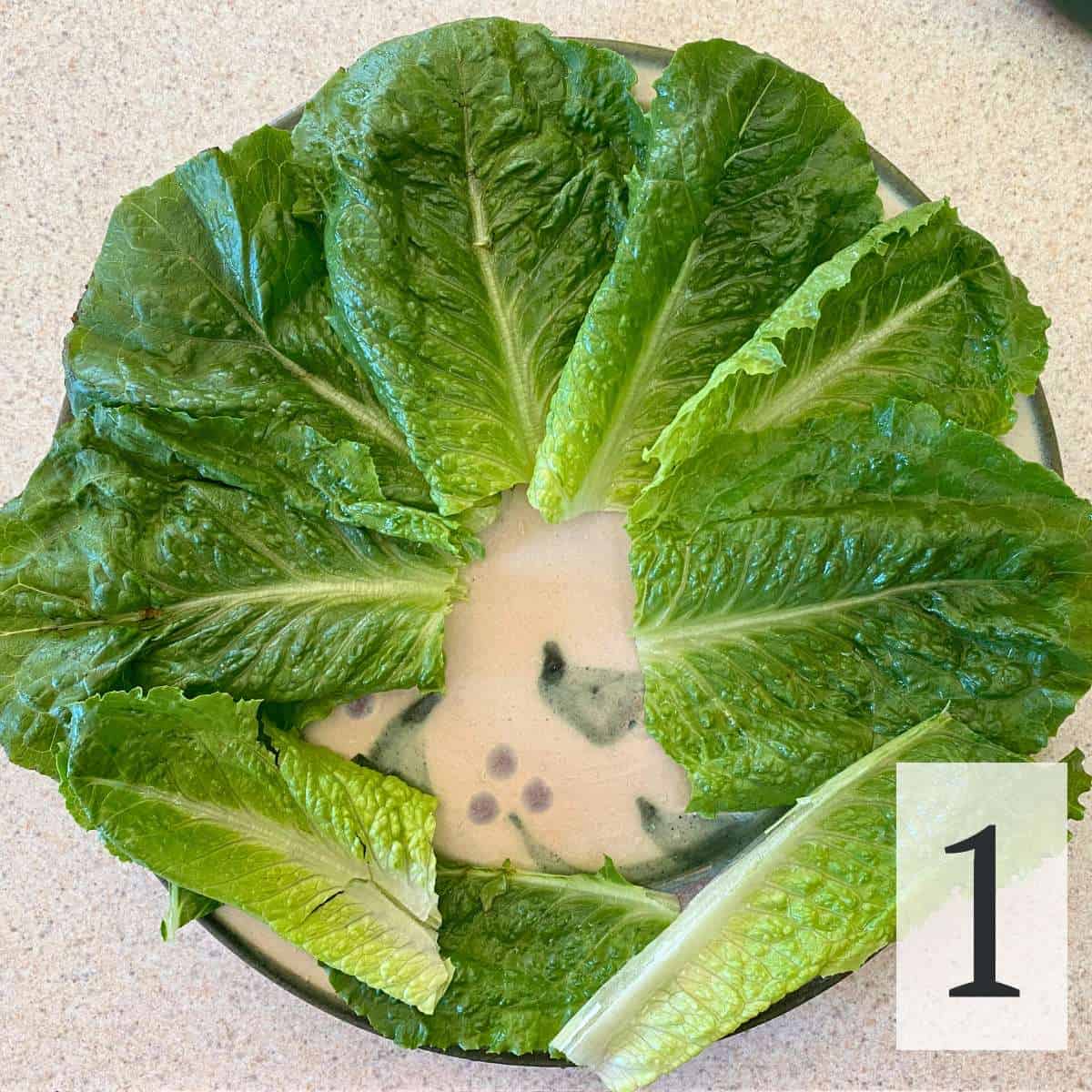 Step 1: covering a plate with lettuce leaves