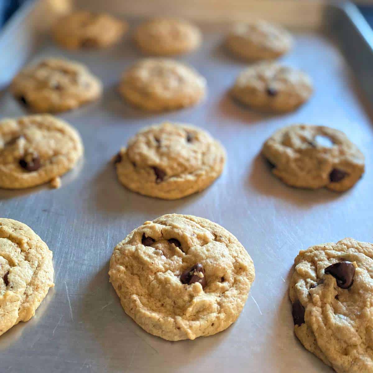 Baked gluten free, dairy free, egg free chocolate chip cookies on a cookie sheet.